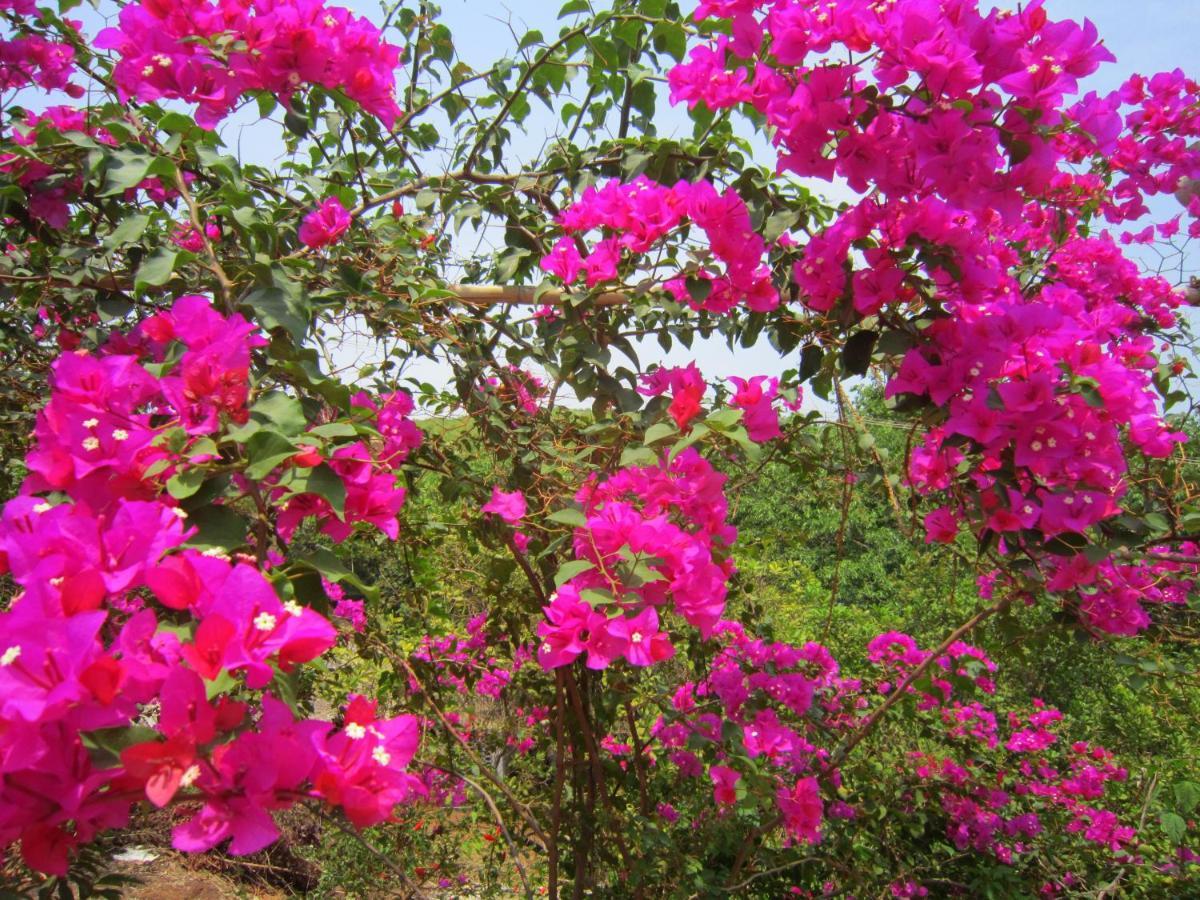 Namaste Yoga Farm Villa Gokarna  Exteriör bild