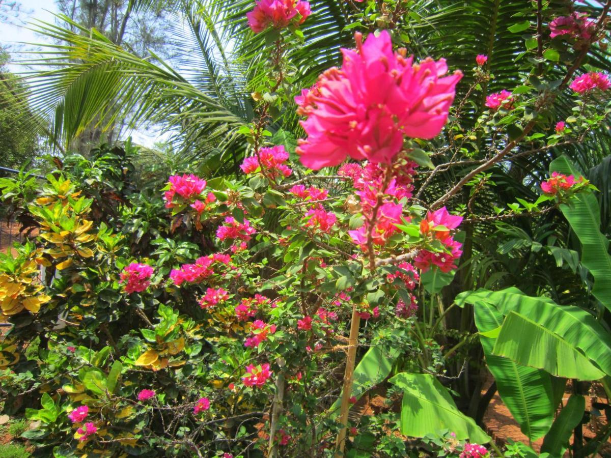 Namaste Yoga Farm Villa Gokarna  Exteriör bild