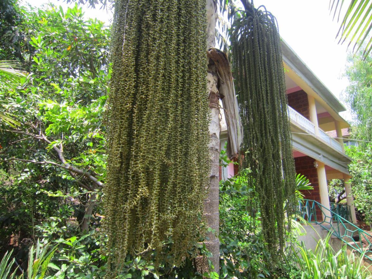 Namaste Yoga Farm Villa Gokarna  Exteriör bild