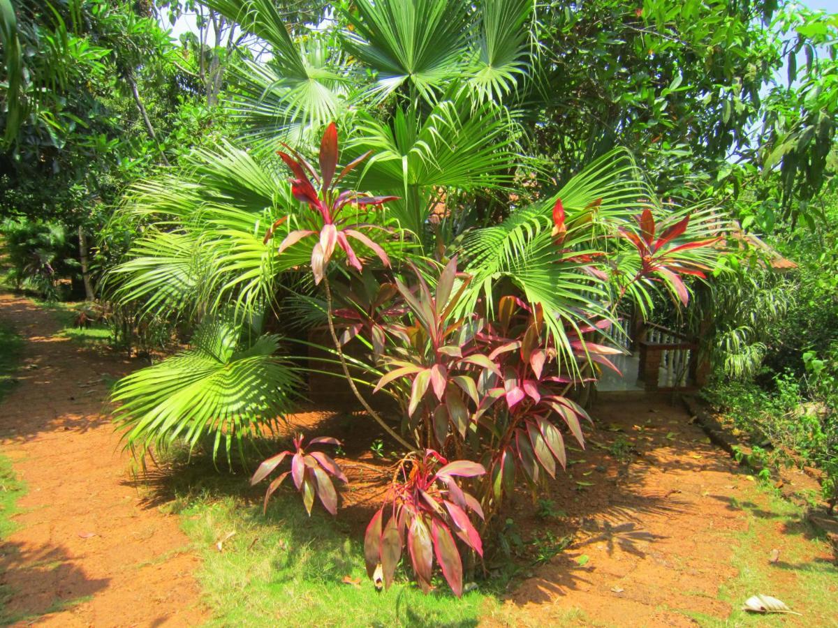 Namaste Yoga Farm Villa Gokarna  Exteriör bild